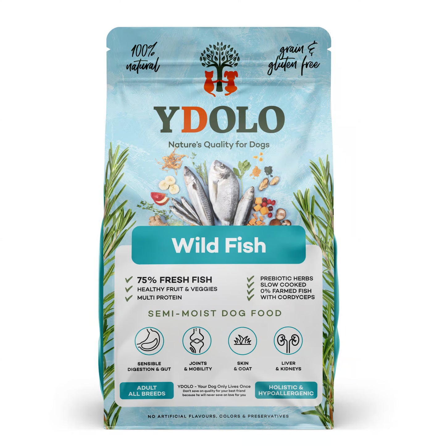 YDOLO Wild Fish