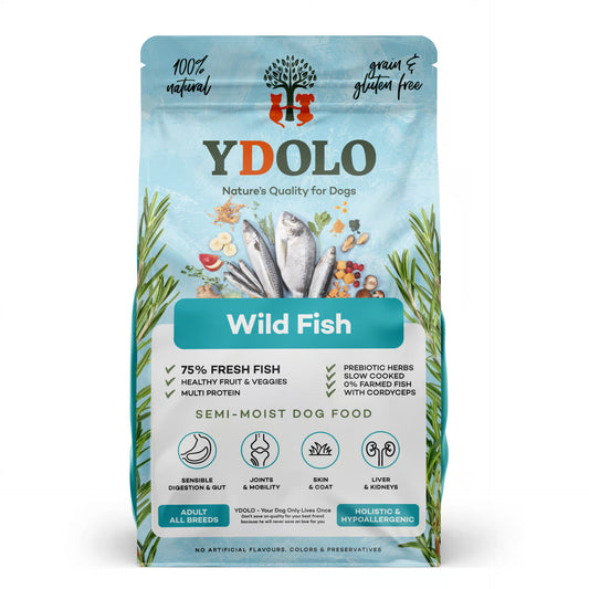 YDOLO Wild Fish