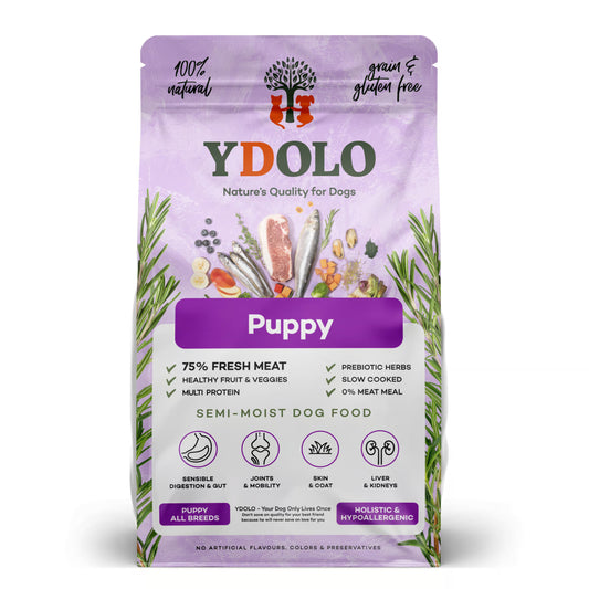 YDOLO Puppy